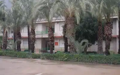 Orihuela refuerza el mantenimiento educativo con más de 50 intervenciones en el Antonio Sequeros