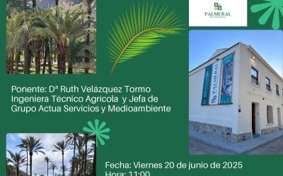 El Palmeral de Orihuela centra la I Jornada ‘Juntos por el futuro del Palmeral’